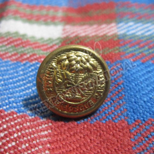 Animis Opibusque Parati Brass Button