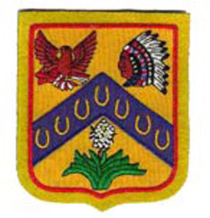 7th Cavalry Regiment Distinctive Unit Insignia