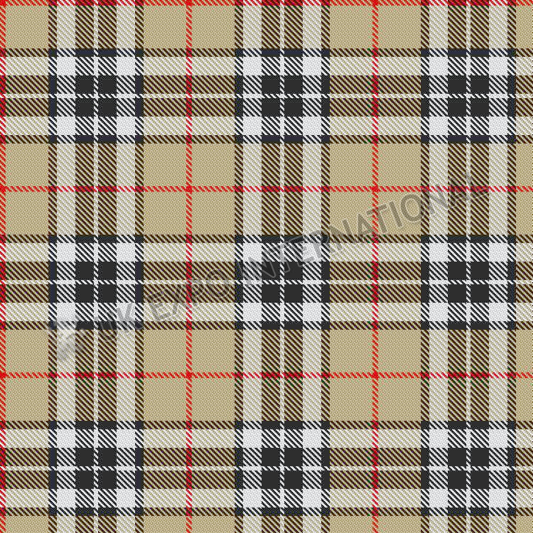 Camel Thompson Tartan No 66