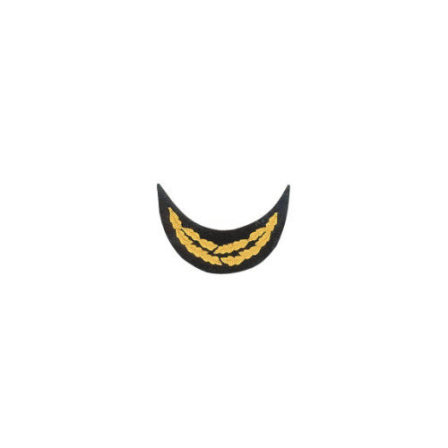 Visor Cap with Golden Embroidery Peaks