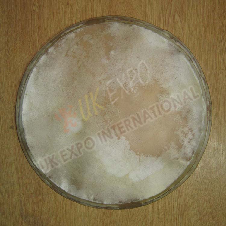 Frame Drum Heads 14 Inches