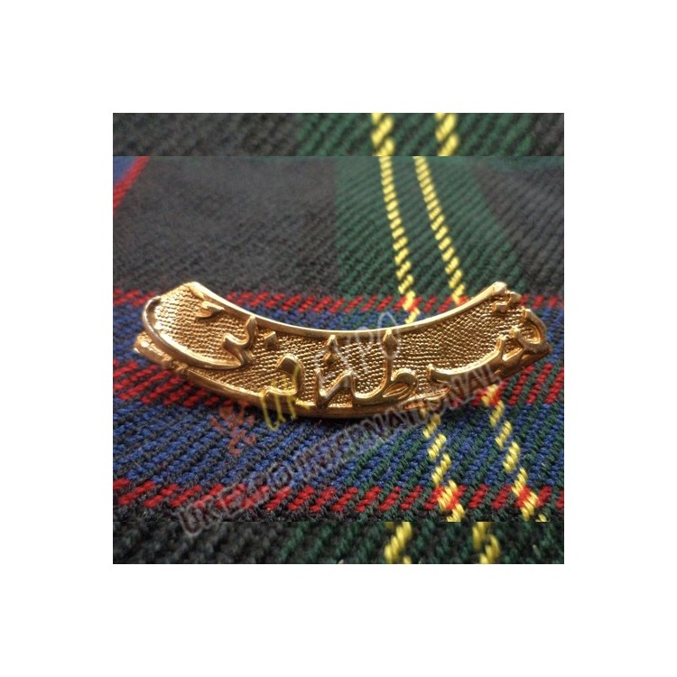 UAE Dubai Police Metal Badge