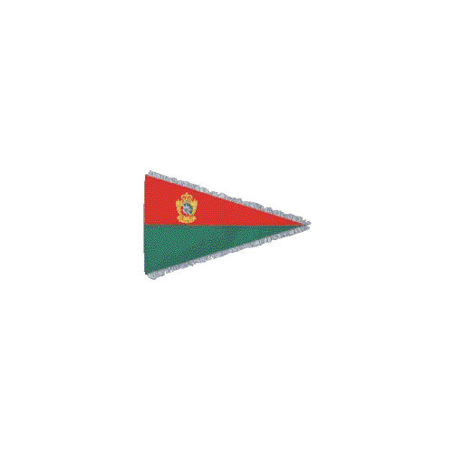 Portuguese Flag Pennants