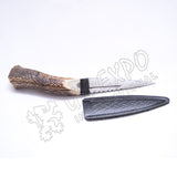 Stag Handle Stainless Steel Blade With Celtic Leather Sheath