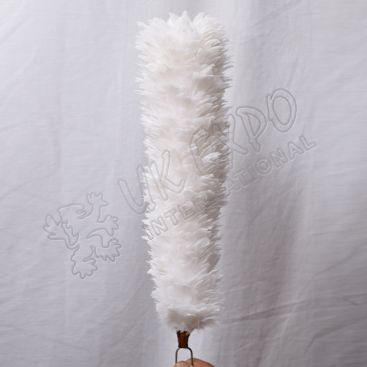 Cream Color Feathers Hackle