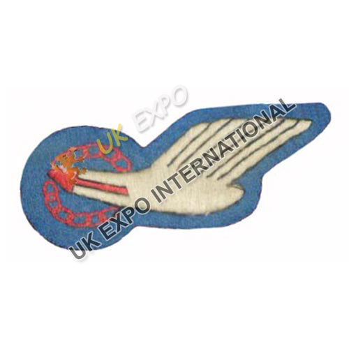 SAARF Parachute Wing Bullion Badge